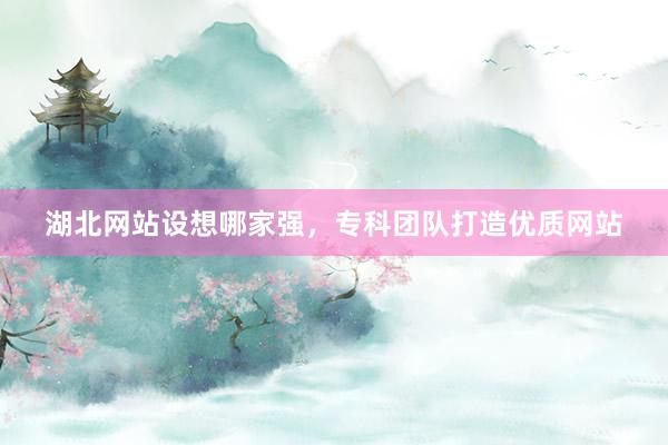湖北网站设想哪家强，专科团队打造优质网站
