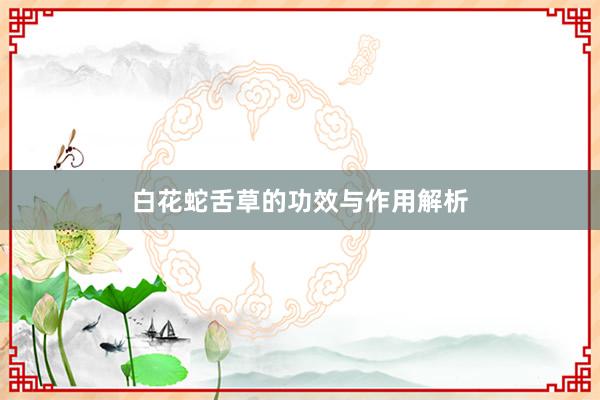 白花蛇舌草的功效与作用解析