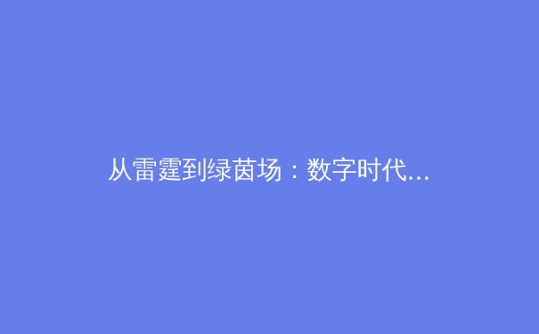 从雷霆到绿茵场：数字时代体育竞技的沉浸式革命 - 2